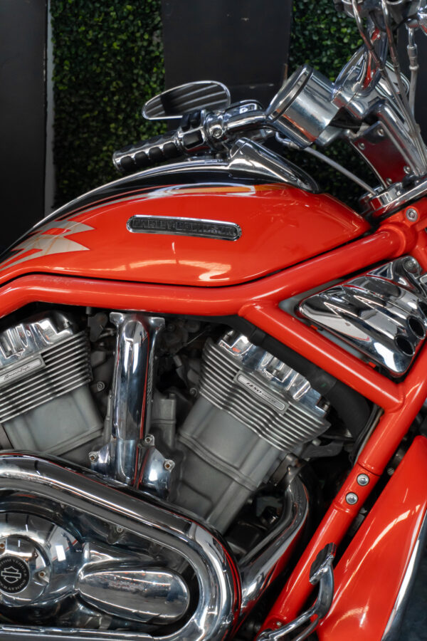 HARLEY-DAVIDSON VRSCSE SCREAMIN EAGLE 2005 - Imagen 3