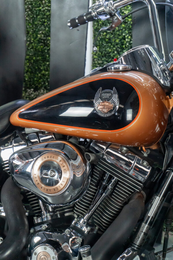 HARLEY-DAVIDSON FXDWG DYNA WIDE GLIDE (ANNIV) 2008 - Imagen 3