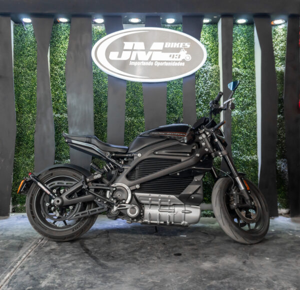 HARLEY-DAVIDSON ELW LIVEWIRE 2020 - Imagen 2