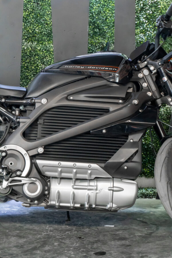 HARLEY-DAVIDSON ELW LIVEWIRE 2020 - Imagen 3