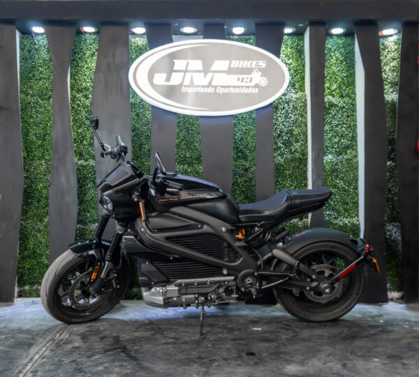 HARLEY-DAVIDSON ELW LIVEWIRE 2020