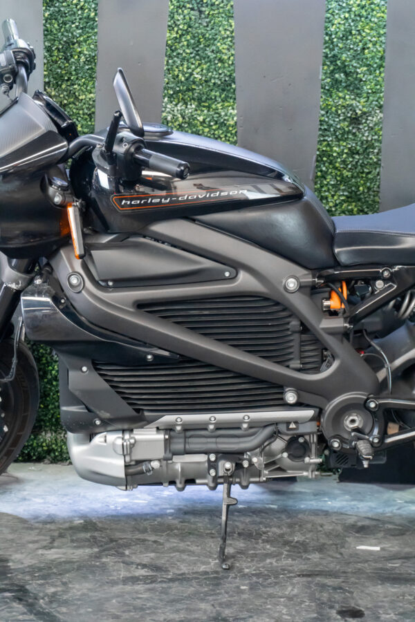 HARLEY-DAVIDSON ELW LIVEWIRE 2020 - Imagen 4