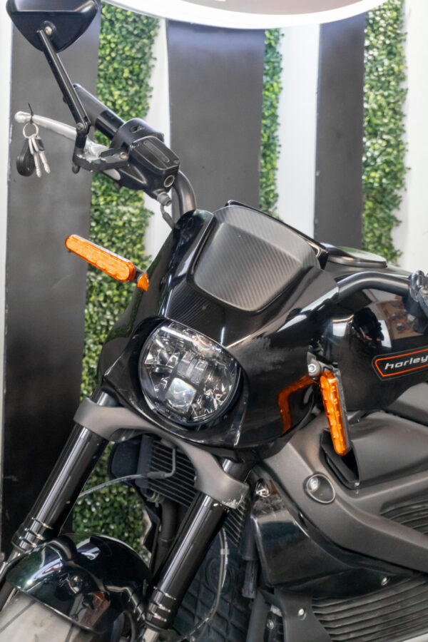 HARLEY-DAVIDSON ELW LIVEWIRE 2020 - Imagen 5