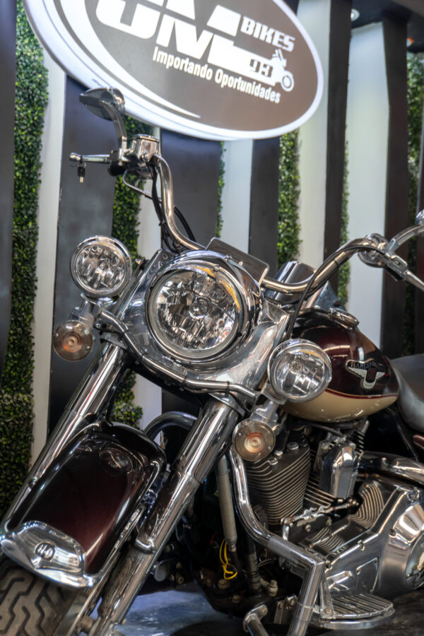 HARLEY-DAVIDSON ROAD KING CLASSIC ANNIVERSARY 1998 - Imagen 6