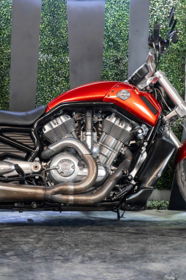 HARLEY-DAVIDSON VRSCF MUSCLE V-ROD 2013 - Imagen 3