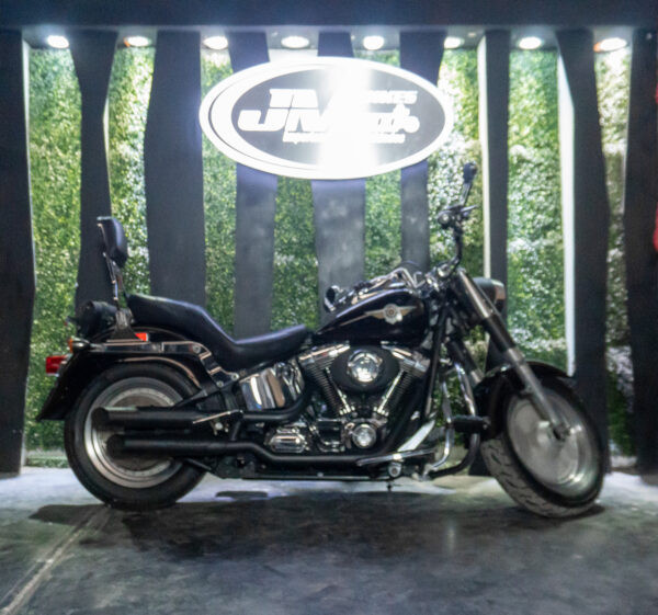 HARLEY-DAVIDSON FLSTF FAT BOY 2002 - Imagen 2