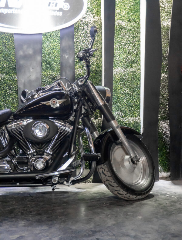 HARLEY-DAVIDSON FLSTF FAT BOY 2002 - Imagen 3