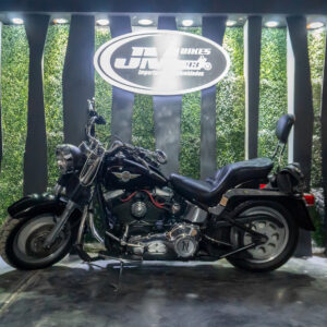 HARLEY-DAVIDSON FLSTF FAT BOY 2002