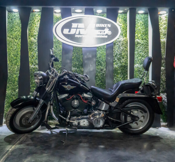 HARLEY-DAVIDSON FLSTF FAT BOY 2002