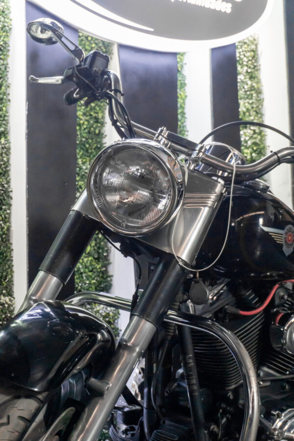 HARLEY-DAVIDSON FLSTF FAT BOY 2002 - Imagen 6
