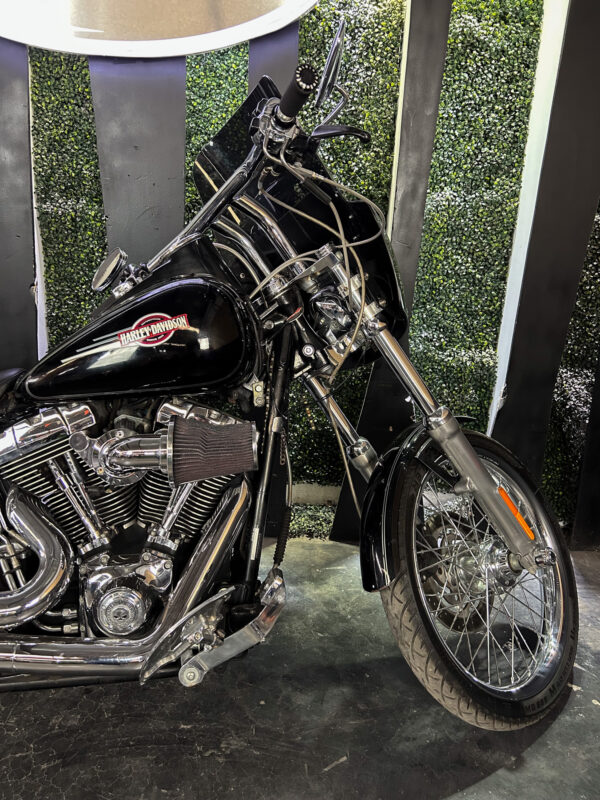HARLEY-DAVIDSON FXSTC SOFTAIL CUSTOM 2008 - Imagen 5