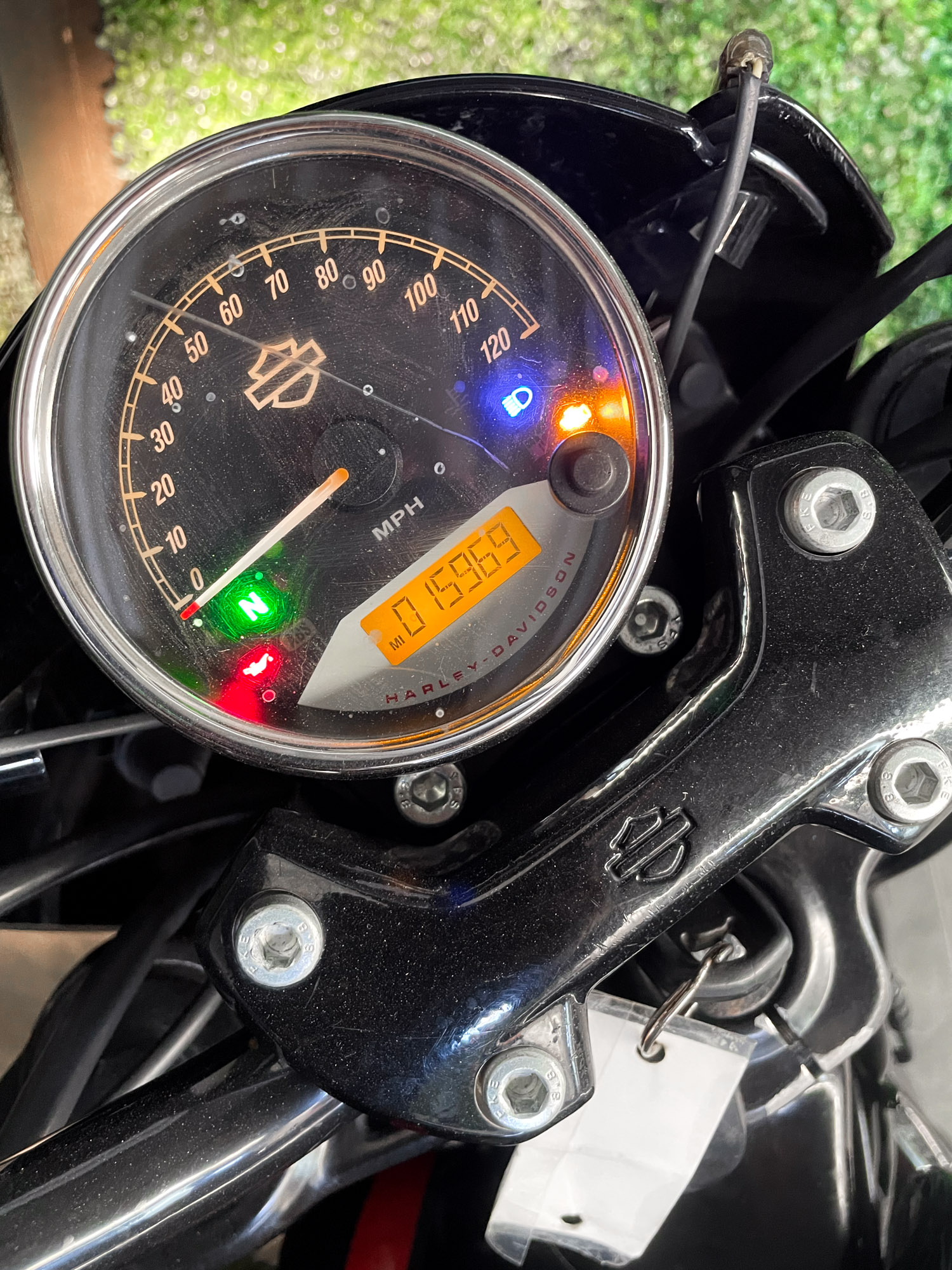 HARLEY-DAVIDSON XG750A STREET ROD 2020 - Imagen 4