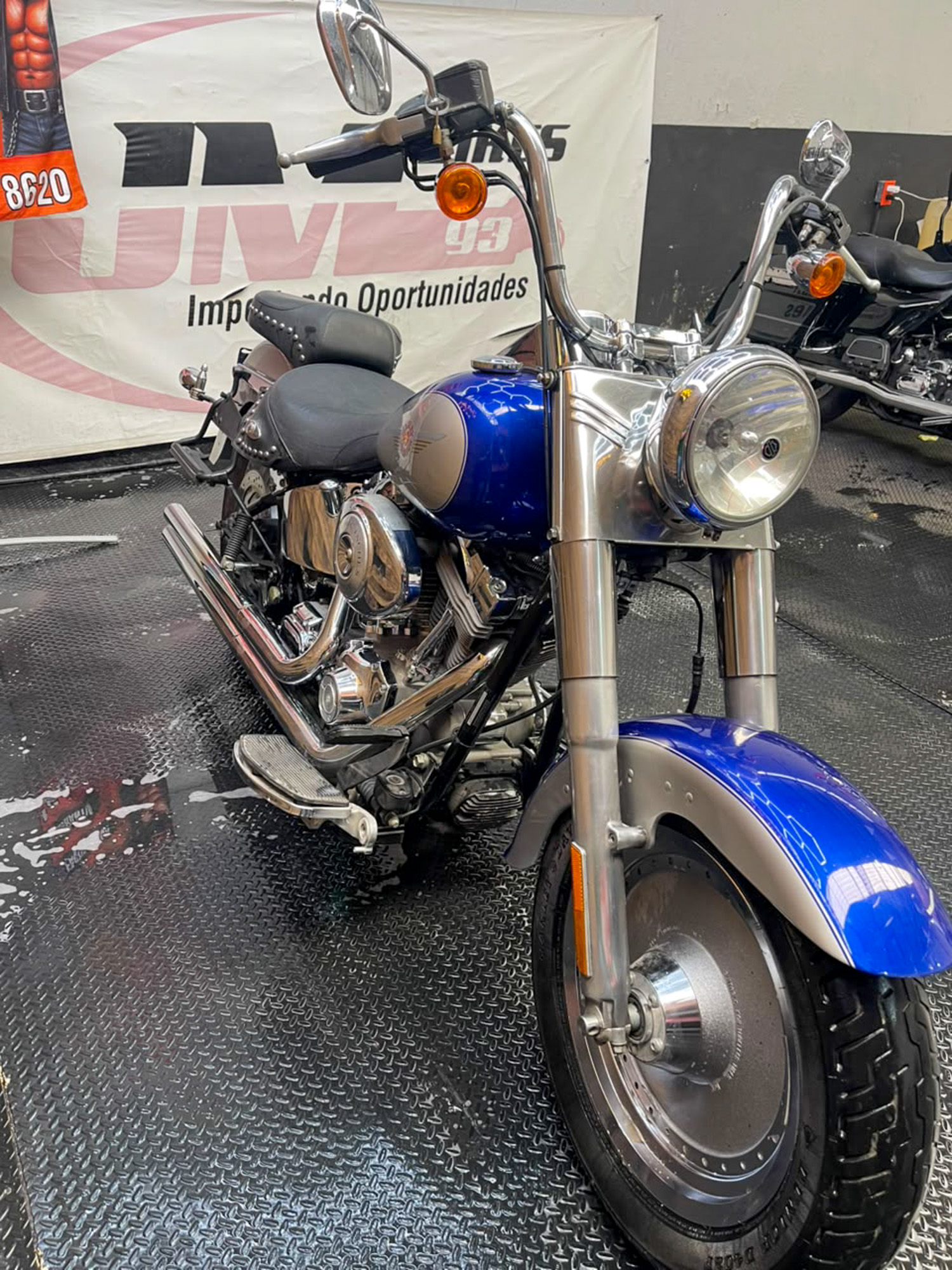 HARLEY DAVIDSON FAT BOY ANNIVERSARY 2005 - Imagen 3